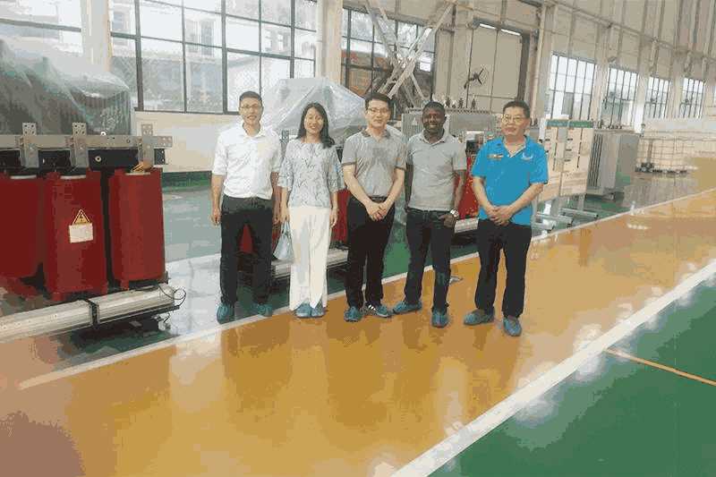 Welcome friends from Tanzania visit our factory for dry type transformers