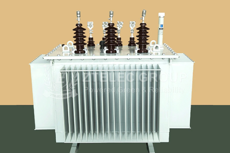Oil-immersed transformers
